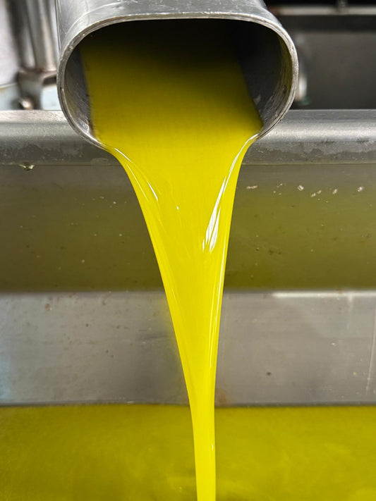 Does Olive Oil Expire? The Truth About Freshness, Storage, and What "Best Before" Really Means